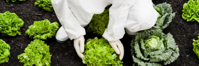 biotecnologie alimentari